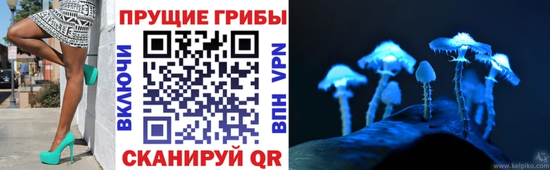 MEGA ссылки  Севск  Галлюциногенные грибы Psilocybe 